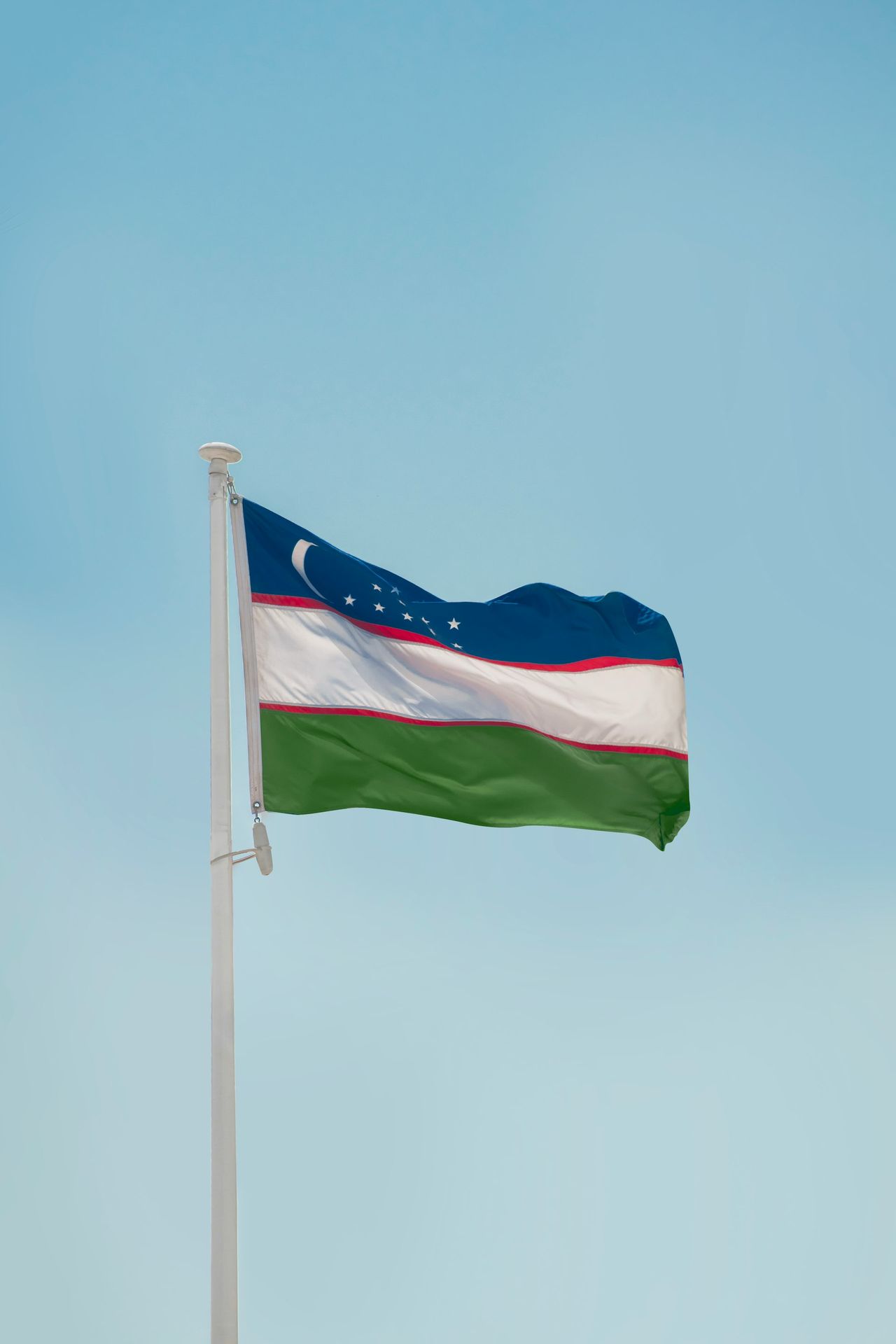 a flag on a pole
